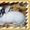 щенок чихуахуа из MONA"S SMILE - Изображение #3, Объявление #218704