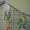 Продам волнистых попугаев - Изображение #3, Объявление #232047