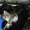 Котята, Чудесные! 1,5 мес. Пушистая, Черный кот - Изображение #7, Объявление #390543