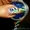 Наращивание ногтей профессиональными материалами - Изображение #10, Объявление #507320