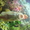 аквариум с рыбами - Изображение #6, Объявление #592285