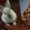 Продам декоративного кролика и большую клетку - Изображение #1, Объявление #684860