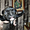 Шикарные щенки от французского бульдога - Изображение #2, Объявление #690504