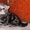 Британские котята плюшевые - Изображение #4, Объявление #701756