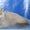 Британские котята плюшевые - Изображение #3, Объявление #701756