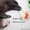 Продам клубных щенков хорька - Изображение #5, Объявление #908372