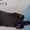 Продам клубных щенков хорька - Изображение #2, Объявление #908372
