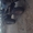 пилораму и цех производства оцилиндрованного бревна в томске - Изображение #1, Объявление #978014