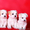 Белоснежные щенки мальтезе - Изображение #3, Объявление #1015692