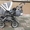 детская коляска AVALON - Изображение #2, Объявление #1068236