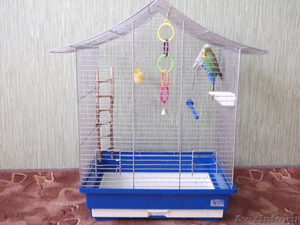 Продам волнистых попугаев - Изображение #4, Объявление #232047