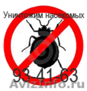 уничтожение клопов тараканов блох комаров  мышей крыс - Изображение #1, Объявление #339221