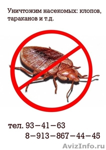 Профессиональное уничтожение клопов тараканов других насекомых,а также:крыс мыше - Изображение #1, Объявление #423011