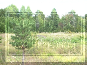 Продам земельный участок в Кафтанчиково - Изображение #3, Объявление #755475