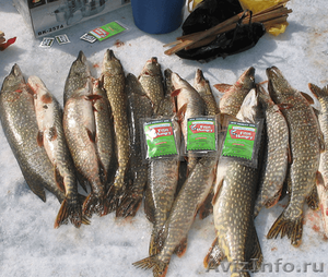      FishHungry - зимняя рыбалка - Изображение #1, Объявление #1363025