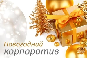 Новогодние корпоративы в Томске, Парад парк Отель - Изображение #1, Объявление #1664021