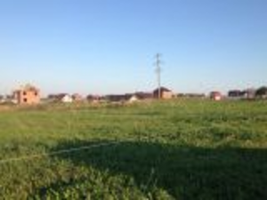 Продам земельный участок в Томском районе по адресу село Корнилово - Изображение #3, Объявление #1708159